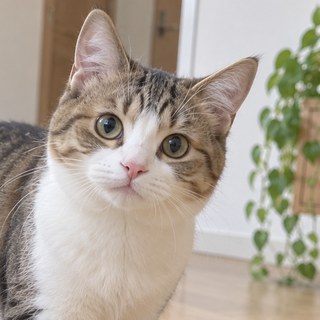 元になった写真