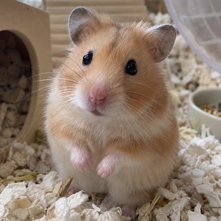 元になった写真